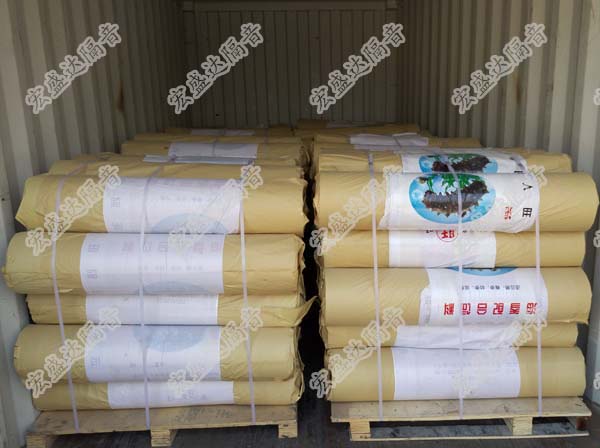 ���ڇ�����������b��l(f��)؛